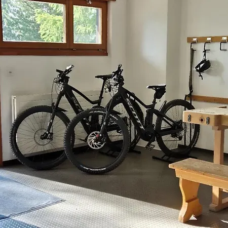 Chesa Blais 7 Appartement Pontresina